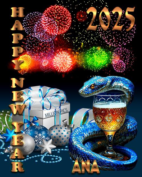 Ana Happy New Year